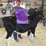 Trumbull County Fair Livestock Sale Results 2014