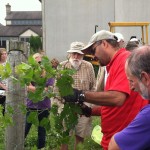 Commercial grape workshop at OSU Piketon Checking grapes