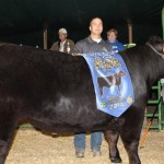 Harrison gr steer