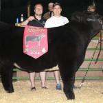 Harrison res steer