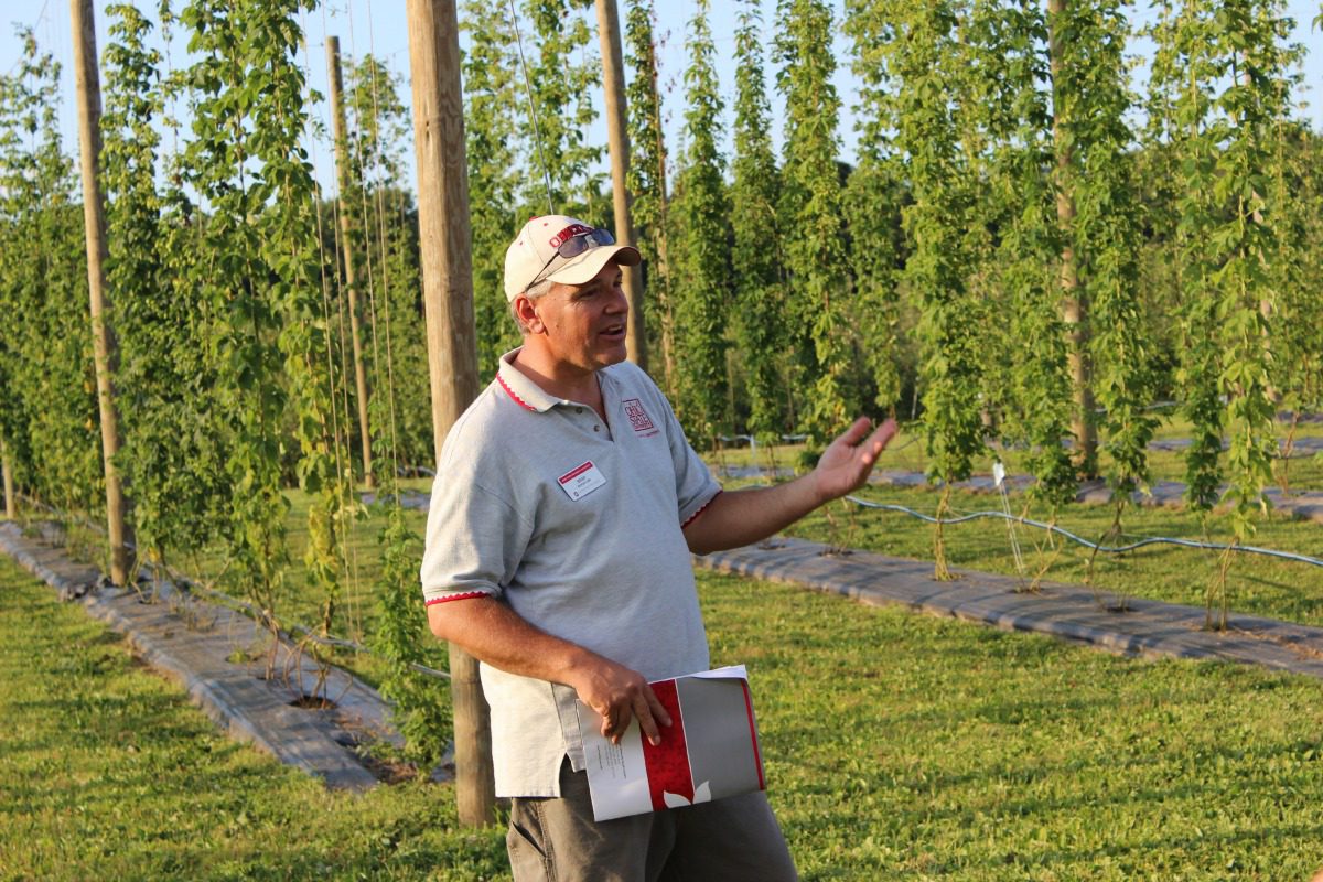 What’s happening with hops in Ohio