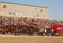 Horse Progress Days features the best in plain equipment