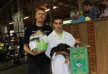 2014 Summit County Fair market livestock sale brings in more than $43,000