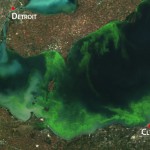 At what level of ‘do something’ should agriculture begin to clean up nitrates? algae forecast 2014