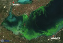 At what level of ‘do something’ should agriculture begin to clean up nitrates? algae forecast 2014