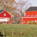 Census shows farmland depleted in Kentucky farm