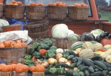 Folk agriculture makes a comeback Farm market truck