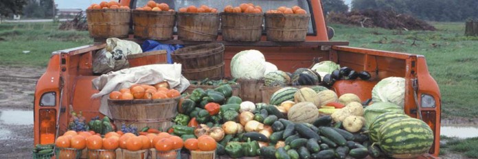 Farm market truck Farm market truck