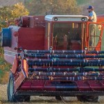 Agricultural Act to ease new farmers’ into trade Farmer on tractor