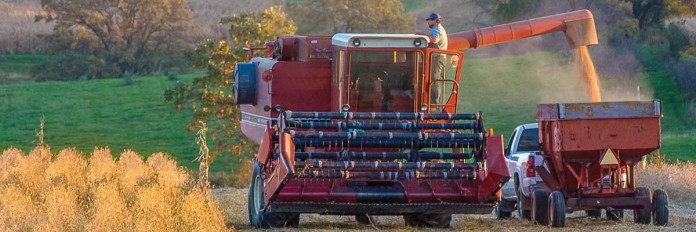Farmer on tractor Farmer on tractor