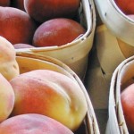 Fruit recalled due to bacteria Peaches