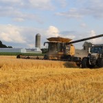 Good weather grain market continues
