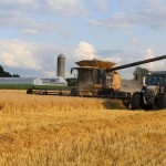 Futures markets look ahead to WASDE report wheat harvest