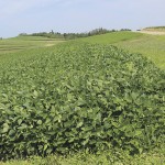 Southeastern Ohio hills alive with farm family history