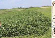 Southeastern Ohio hills alive with farm family history