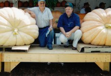 Canfield Fair Pumpkin Show: Growing a giant