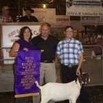 BUTLER Home Bred gr goat