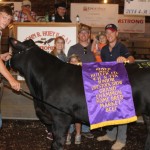 Butler Gr Homebred steer