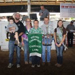 Col. Gr. Carcass lamb