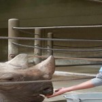 CFAES graduate sets sights on Olympic handball dream Katiann Scherer