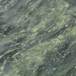Researchers predict moderate algal bloom for Lake Erie this year algae in Lake Erie