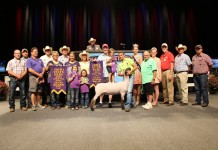 Ohio State Fair sale results 2014