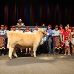 OSF grand steer