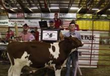 Stark County Junior Fair auction pulls in $854,406, sets all time record