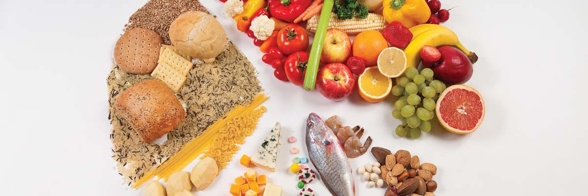 food pyramid nutrition