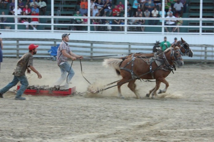 pony pull.6