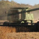 soybean harvest