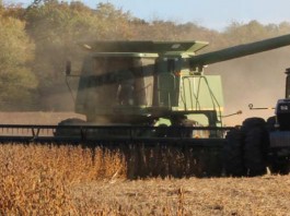 soybean harvest