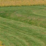 Restored EPA funding to help Pennsylvania farmers meet watershed goals waterway in crop field