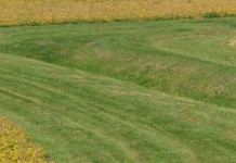 Restored EPA funding to help Pennsylvania farmers meet watershed goals waterway in crop field