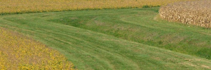 waterway in crop field