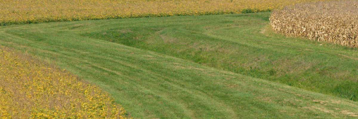 waterway in crop field