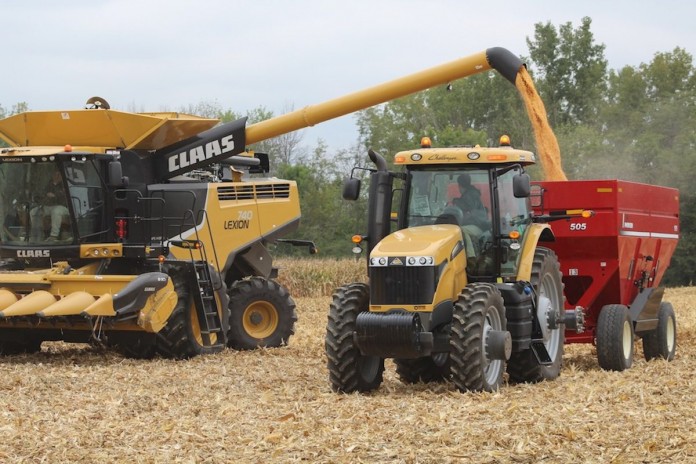 Corn harvest, dumping grain