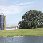 Strategy, perseverance keep 200-year-old farm moving