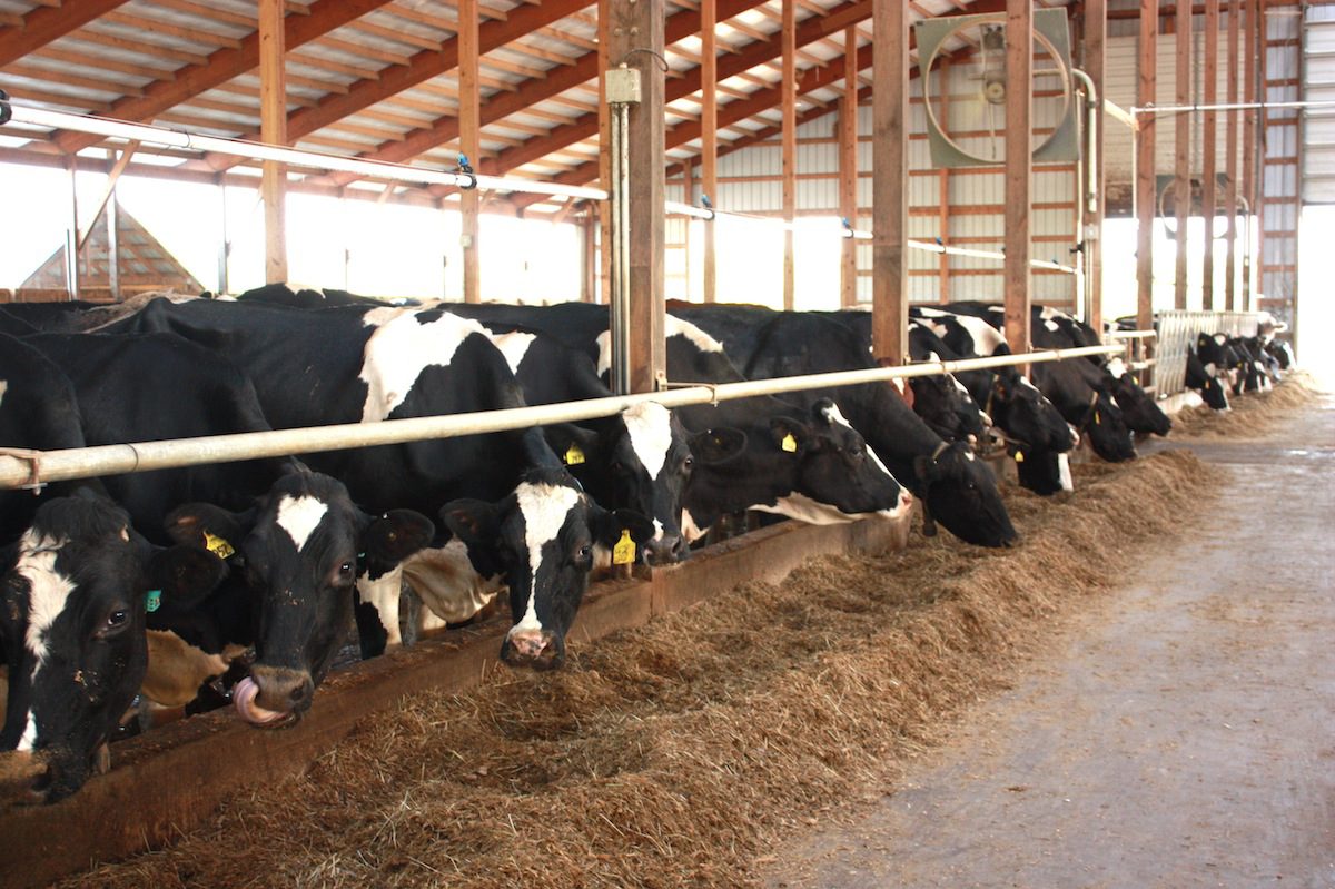 USDA extends deadline for dairy Margin Protection Program