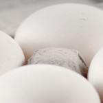 Where do you store your eggs? Carton of eggs