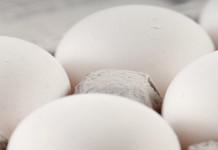 Where do you store your eggs? Carton of eggs