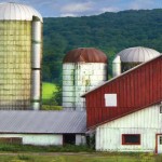 Farms: One size doesn’t fit all farm