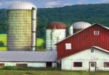 Farms: One size doesn’t fit all farm