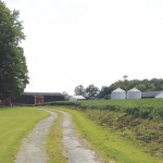 Lillie Farm: Adversity won’t keep this farm down