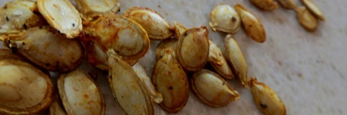 roasted pumpkin seeds