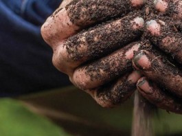 2015 is the International Year of Soils (Infographic) soil in hands