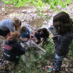 Zane Trace stream testing