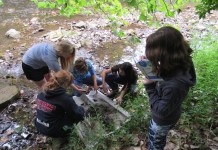 High school students invited to shadow ODNR Zane Trace stream testing