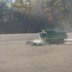 Harvest continues as dry days return