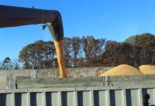 Webinar details Emergency Commodity Assistance Program program harvesting corn